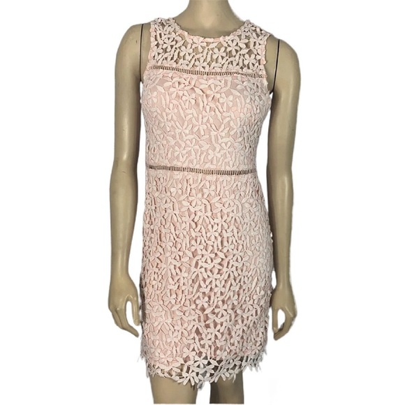 Aqua NWT Floral Lace Dress in blush and white - Picture 1 of 6